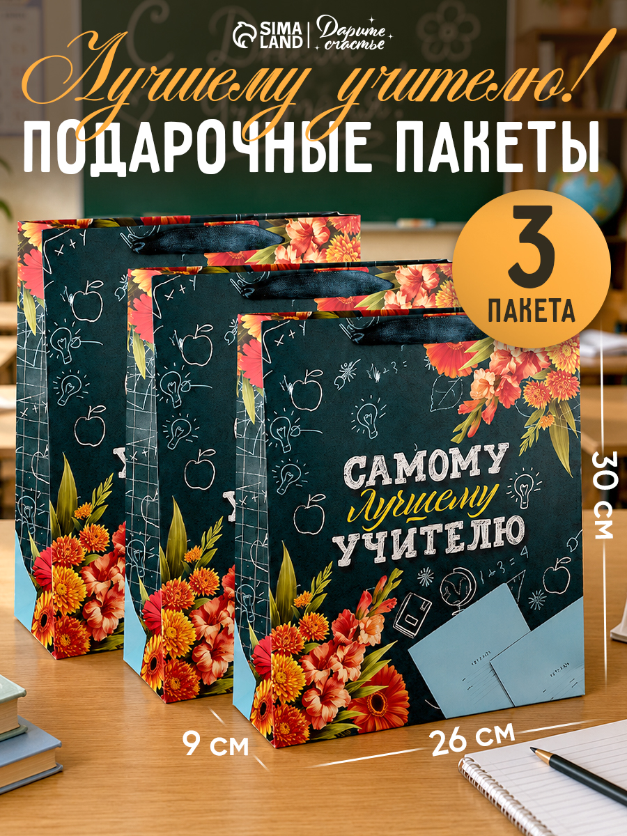 Пакеты подарочные учителю, набор 3 шт, 26 х 30 х 9 см