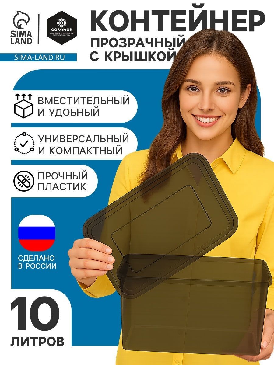 Ящик пластиковый для хранения с крышкой, объём 10 л. / Контейнер для хранения пластиковый прозрачно-чёрный