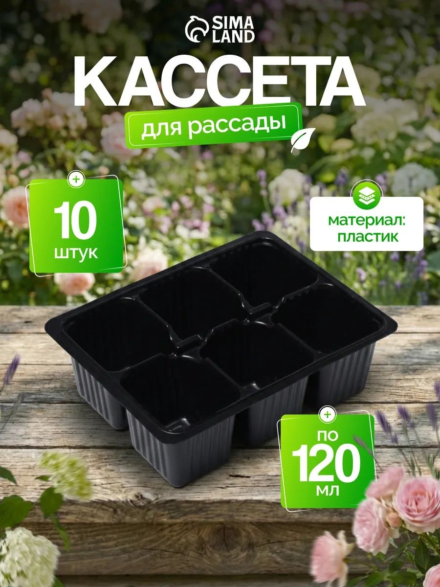 Кассета для рассады 6 ячеек по 120 мл, набор 10 шт., кассеты для семян, рассадник для растений, чёрный пластик, На фото — предложение продавца