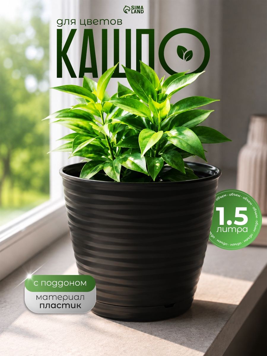 Горшок для цветов с поддоном Saffron, 1,5 л, d 14,6 см, h 13,5 см, цвет чёрный
