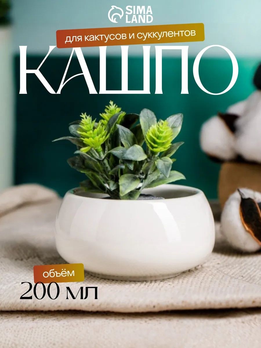 Горшок для цветов, керамика / 150 мл, белый, 4,3 см / Горшок для цветов керамический, На фото — предложение продавца