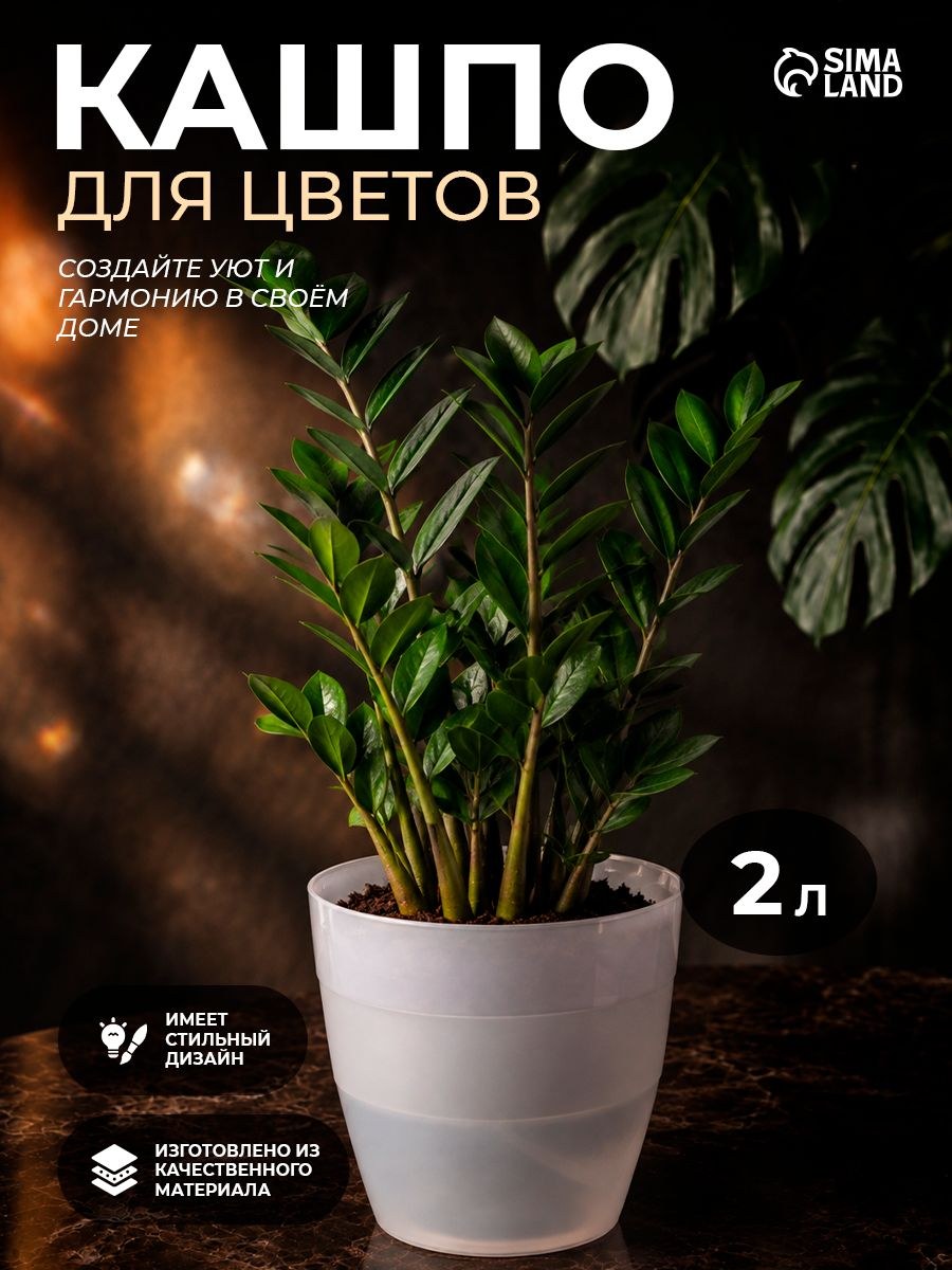 Кашпо для комнатных растений 2 л со вставкой, прозрачный пластиковый горшок для цветов, кашпо для орхидей, фиалок и декоративных растений, На фото — предложение продавца