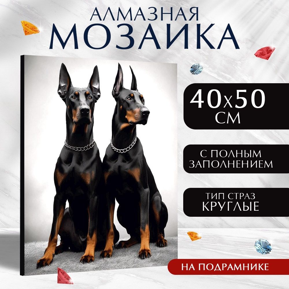 Алмазная мозаика полное заполнение Школа талантов "Доберманы", на раме, 40х50 см, На фото — предложение продавца