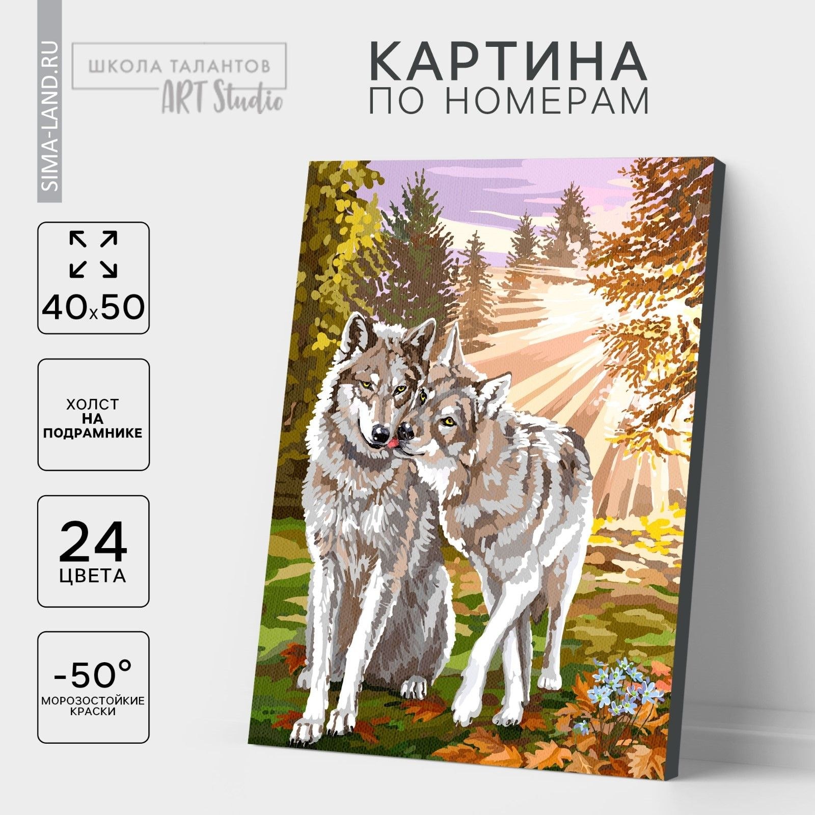 Картина по номерам на холсте с подрамником Школа талантов "Волки", 40х50 см, На фото — предложение продавца