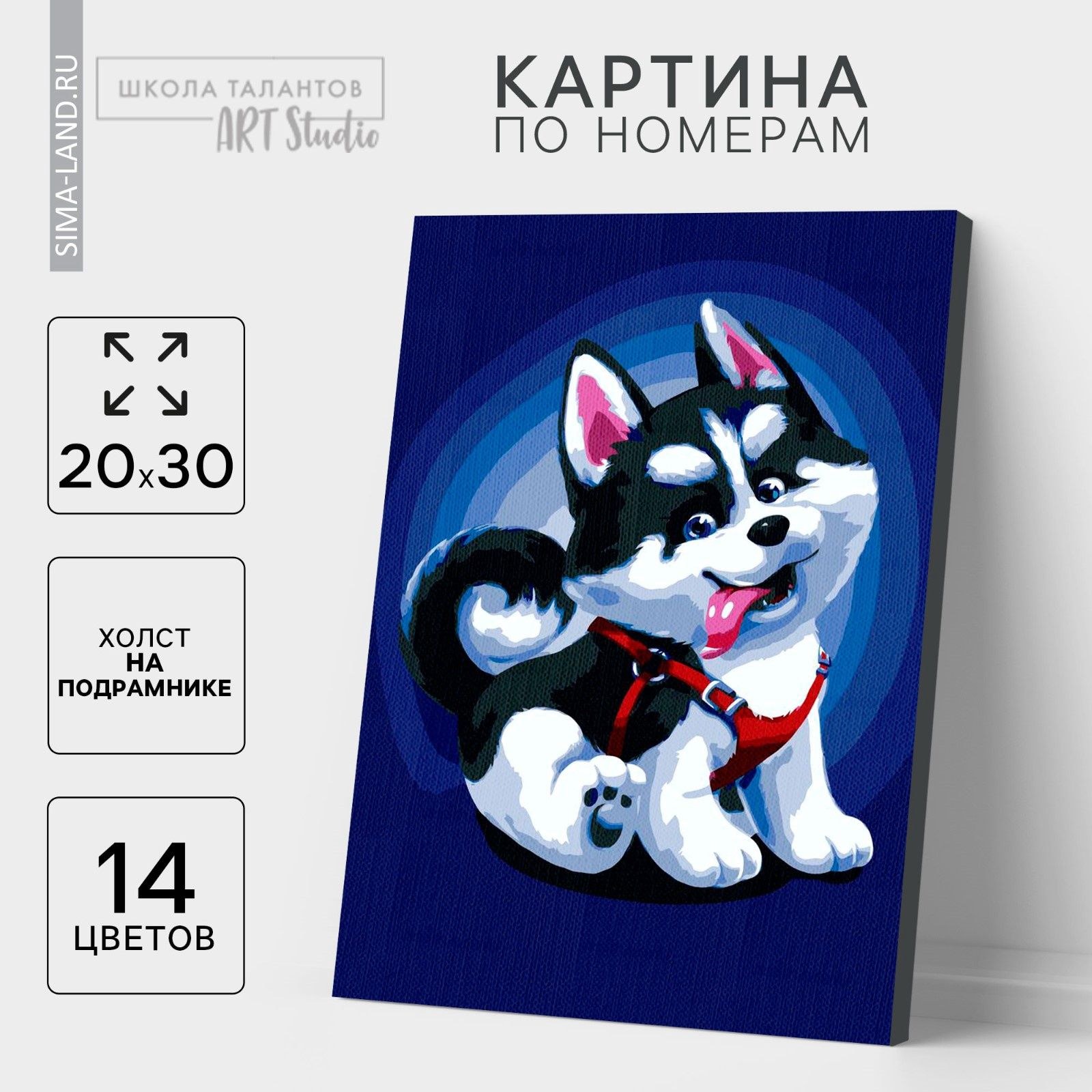 Картина по номерам Школа талантов, на холсте с подрамником "Щенок хаски", 30х20 см, На фото — предложение продавца