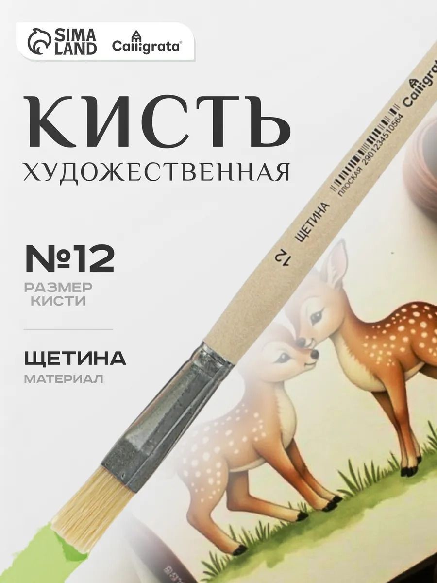 Кисть для рисования Calligrata, щетина плоская №12, длина волоса 20 мм., На фото — предложение продавца