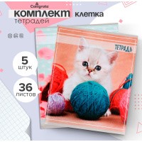 Комплект тетрадей из 5 штук, 36 листов в клетку Calligrata "Котята", обложка мелованный картон, блок офсет, На фото — предложение продавца
