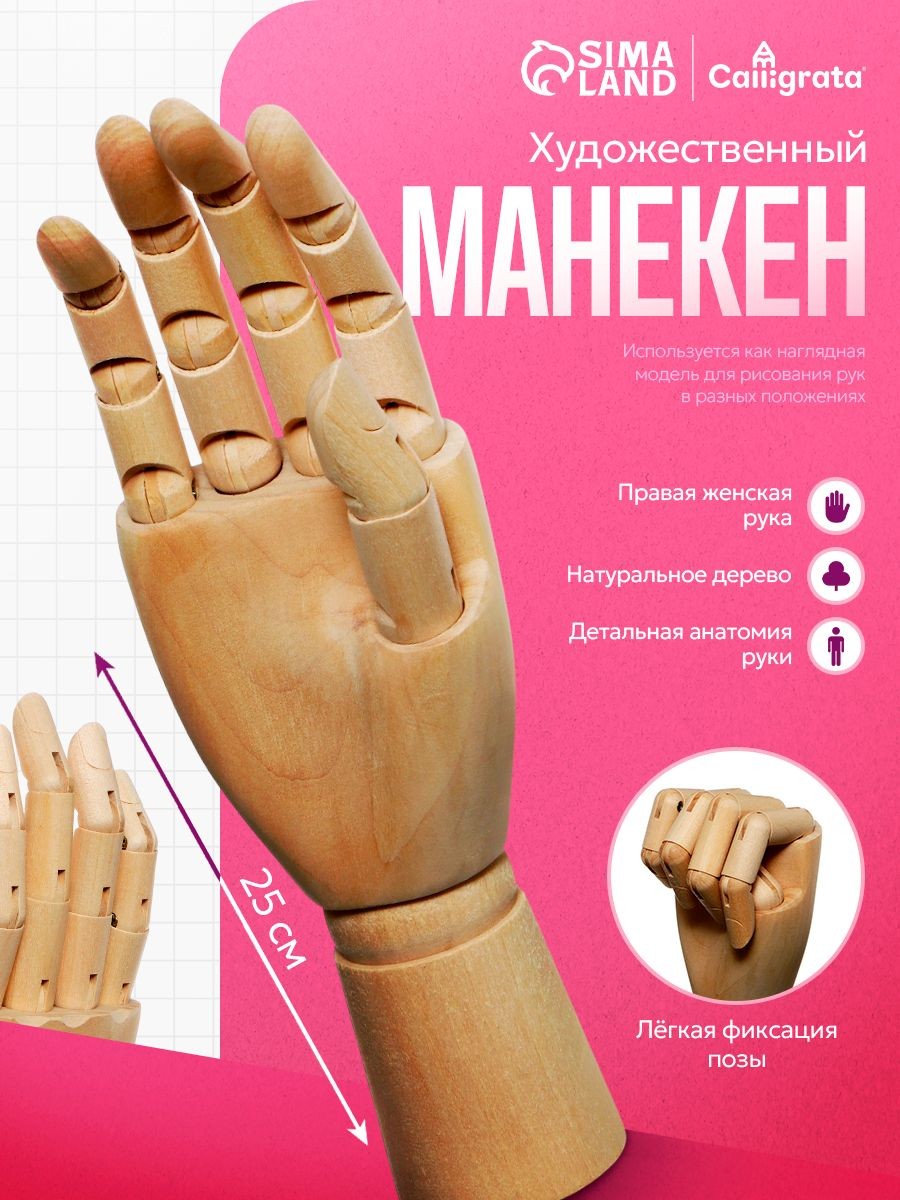 Модель руки деревянная, женская, правая, 25 см, для рисования и обучения, На фото — предложение продавца