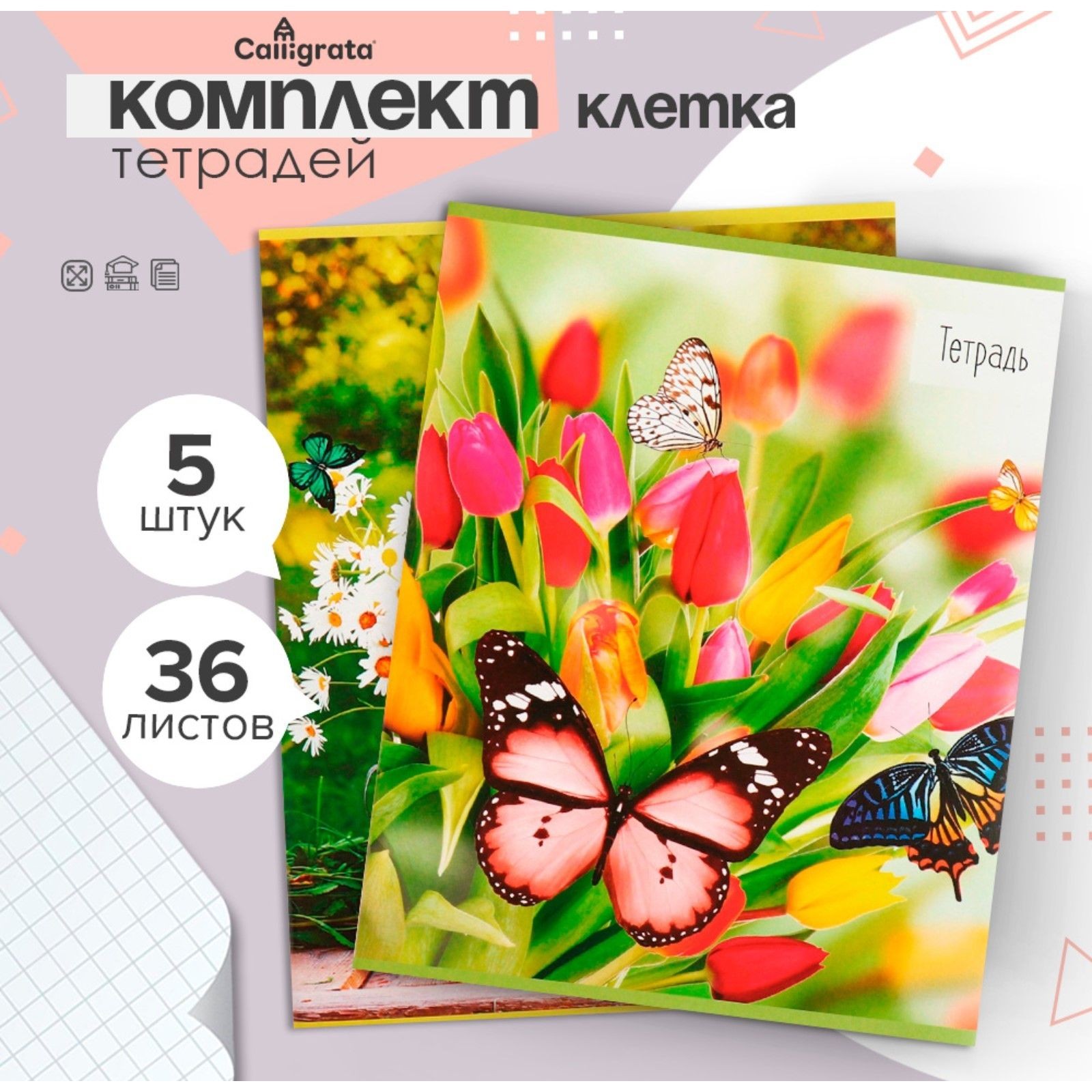 Тетради 36 листов в клетку, Calligrata Бабочки , серые листы, 5 штук, На фото — предложение продавца