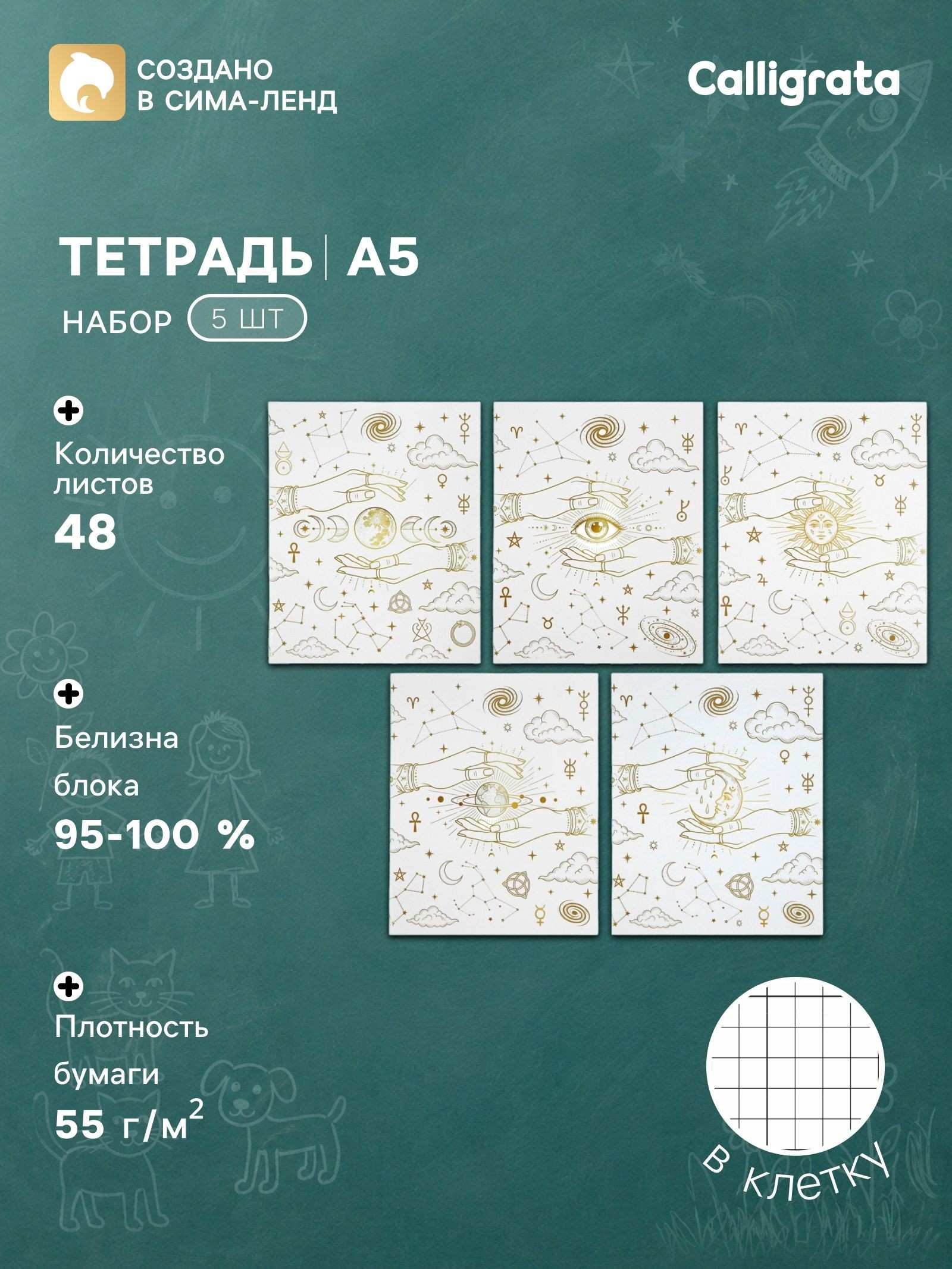 Тетрадь 5 штук, 48 листов в клетку Calligrata Таро , блок офсет, 5 видов